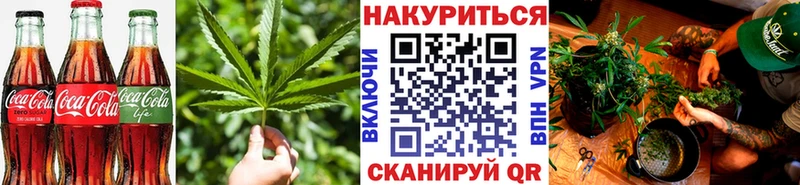 Canna-Cookies марихуана  Кодинск 