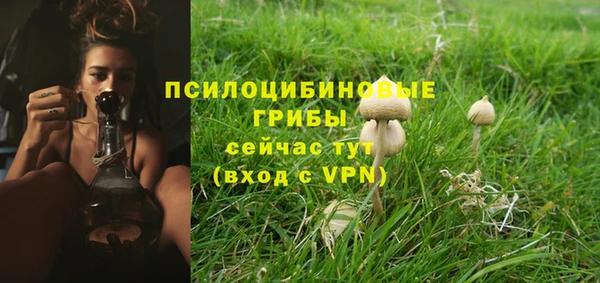 MDMA Беломорск